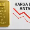Grafik fluktuasi