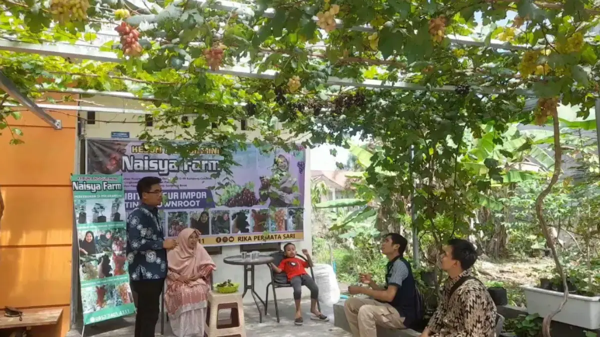 buah anggur
