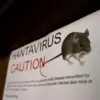Hantavirus