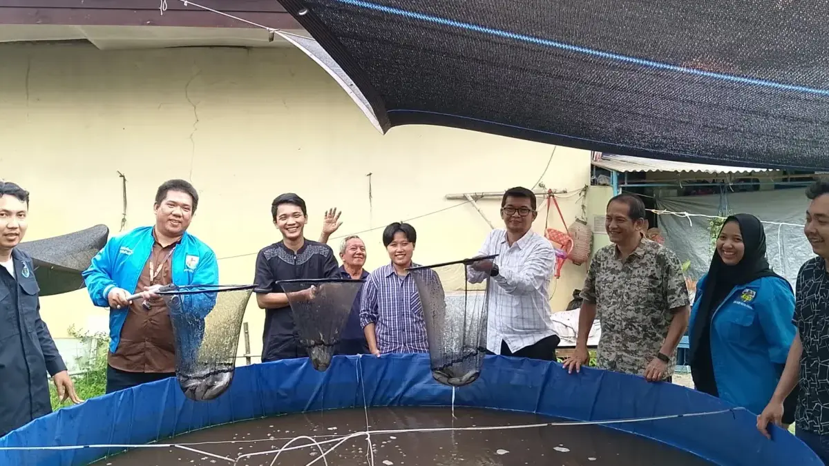 DPD KNPI Kota Cirebon panen perdana budidaya ikan lele