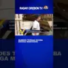 Bumdes Ternak Domba Diduga Mangkrak