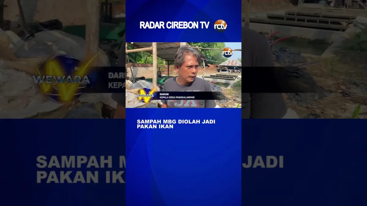 Sampah MBG Diolah Jadi Pakan Ikan - Video Sampah MBG Diolah Jadi Pakan Ikan