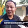 Penangkaran Kura-Kura Belawa Diperiksa Tim Veteriner Jabar