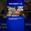 Pria Tebas Pasangan Sesama Jenis Sampai Kritis
