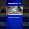 Pembobol Toko Modern Di Arjawinangun Ditangkap