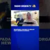 Waspadai Cacing di Organ Hati Hewan Kurban