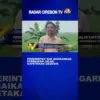 Pemerintah Tak Anggarkan Perbaikan Jalan Kapetakan Gegesik
