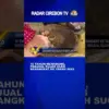 16 Tahun Menabung, Penjual Rujak Uleg Berangkat Ke Tanah Suci
