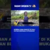 Korban Anak Hanyut Di Kali Kriyan Berhasil Ditemukan