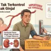 Menurut dr. Anindia, tekanan darah yang terus-menerus tinggi dapat merusak pembuluh darah kecil di ginjal.
