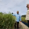 Presiden Prabowo Subianto menyatakan bahwa produksi beras dan jagung Indonesia saat ini capai level tertinggi.