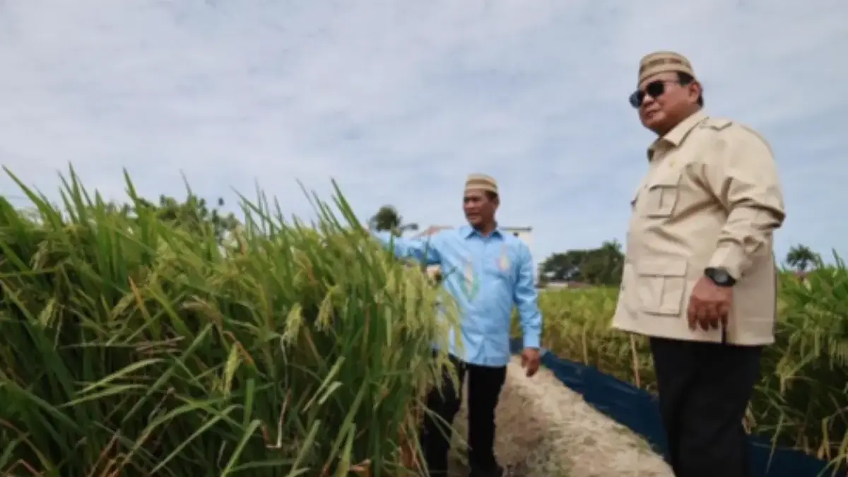 Produksi Beras dan Jagung RI Tertinggi Sepanjang Sejarah, Prabowo Soroti Keberhasilan Swasembada Pangan Presiden Prabowo Subianto menyatakan bahwa produksi beras dan jagung Indonesia saat ini capai level tertinggi.