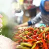 Cabe dan beras