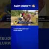 Bankeudes 2026 Siap Disalurkan