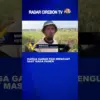 Harga Gabah Padi Menguat Saat Masa Panen