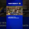 Kuwu Waled Kota Kembangkan Agrowisata