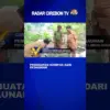 Pembuatan Kompos Dari Dedaunan