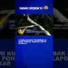 2 Hari Kucing Terjebak Di Atas Pohon, Warga Lapor Damkar
