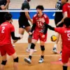 VNL