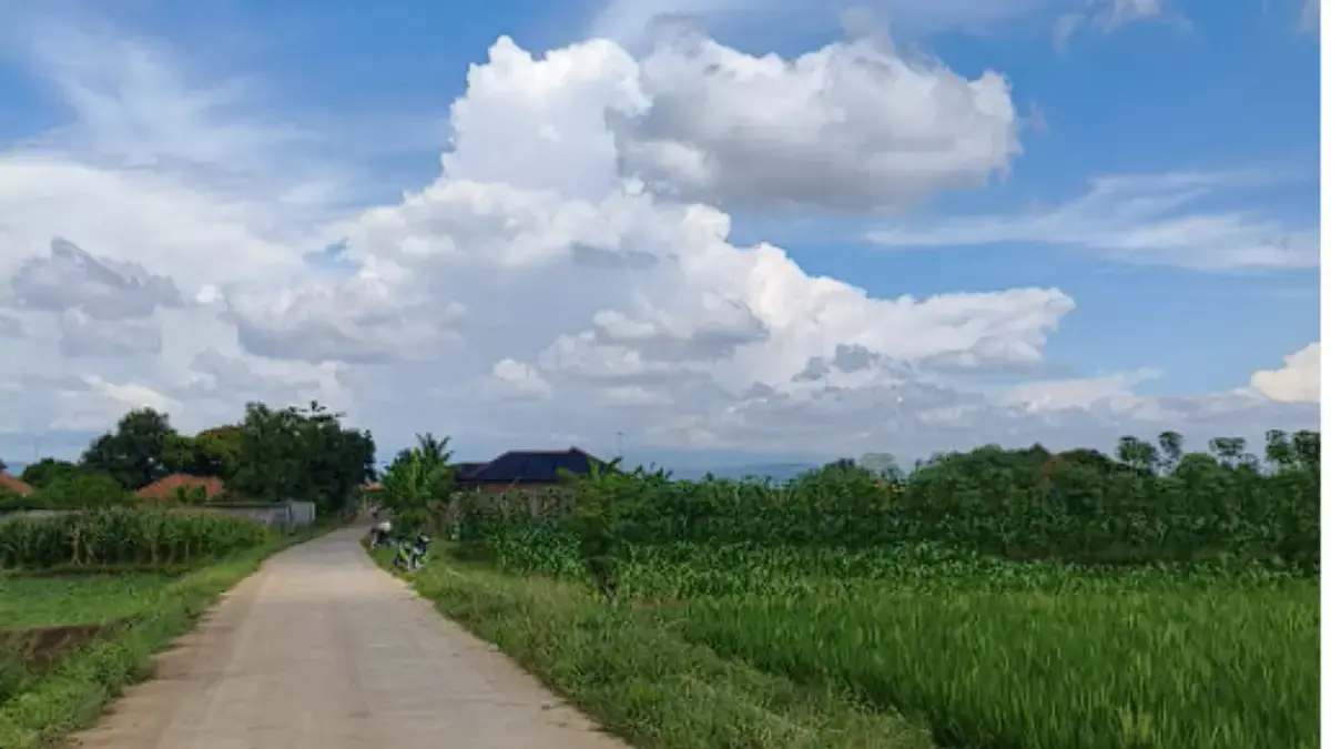 Cuaca Hari Ini 16 Juli 2026 di Cirebon: Cerah Berawan dengan Sinar Matahari Intens Ilustrasi cuaca cerah