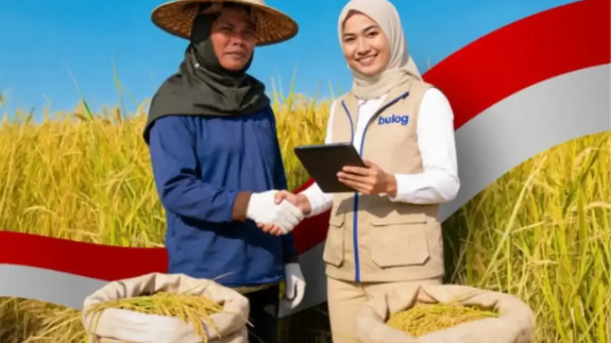 Serapan Beras BULOG Tembus 3,5 Juta Ton, Dukung Swasembada Pangan Berkelanjutan Keberhasilan ini menunjukkan upaya penyerapan hasil panen terus berjalan positif.