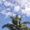 Cuaca Cirebon hari ini