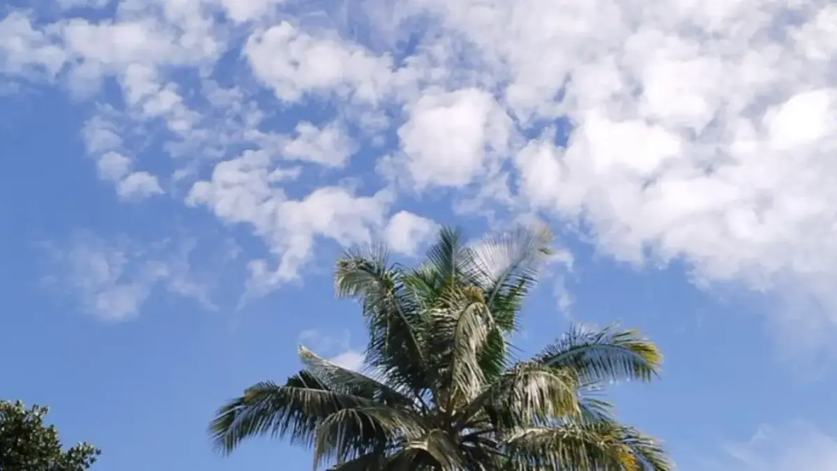 Cuaca Cirebon hari ini
