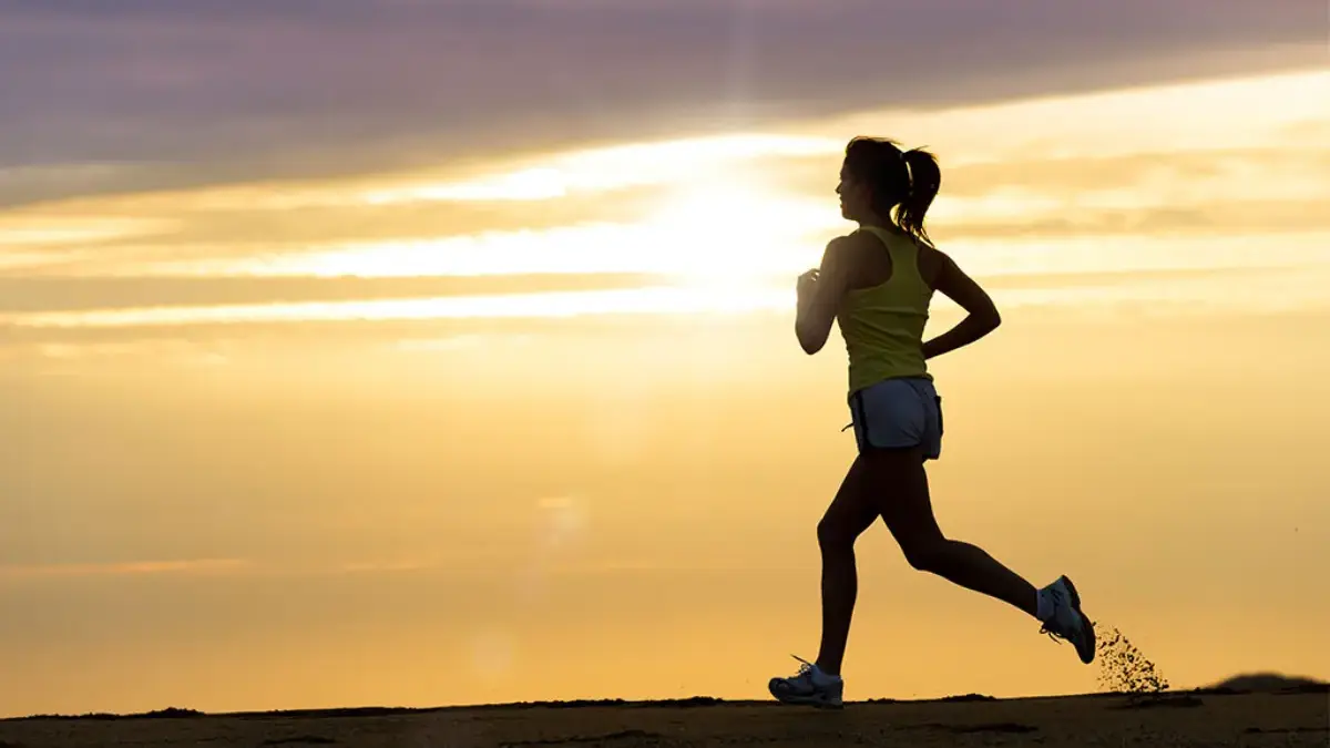 4 Langkah Sederhana Agar Tubuh Tetap Fit Saat Deadline: Nutrisi Dulu, Baru Olahraga! foto:Google Next Level Physio