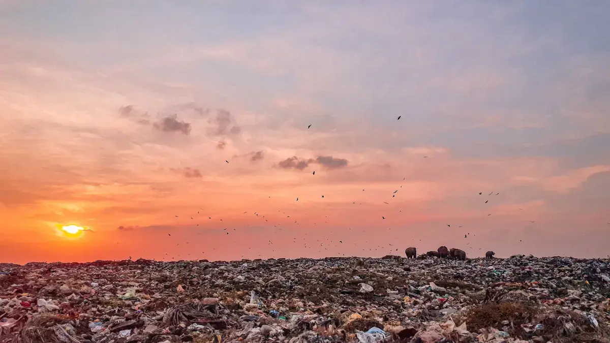102 Warga Mengungsi Akibat Asap Kebakaran TPA Jatiwaringin, Tim Medis Disiagakan 24 Jam ilustrasi tempat pembuangan sampah