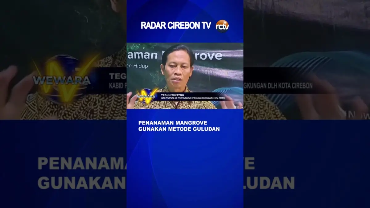 Penanaman Mangrove Gunakan Metode Guludan