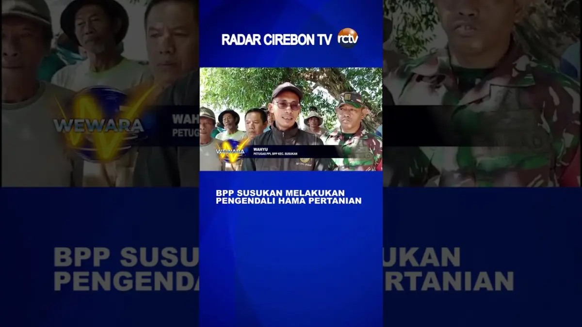BPP Susukan Melakukan Pengendali Hama Pertanian