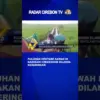Puluhan Hektare Sawah Di Babakan Ciwaringin Dilanda Kekeringan