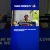 Petani Wanakaya Keluhkan Hama Wereng