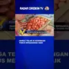 Harga Telur Di Kuningan Terus Merangkak Naik