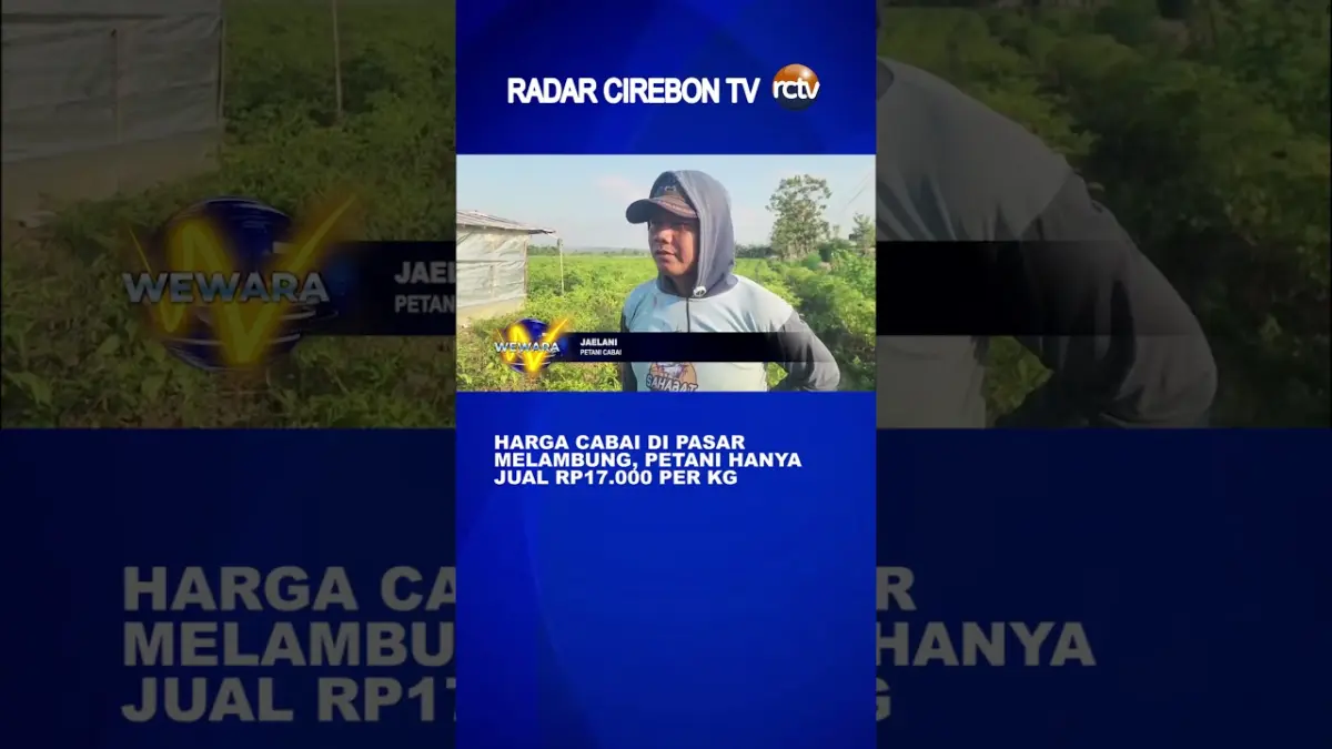 Harga Cabai Di Pasar Melambung, Petani Hanya Jual Rp17.000/Kg