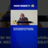 Petani Wanakaya Keluhkan Hama Wereng Sulit Teratasi