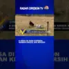 8 Desa Di Kab Cirebon Rawan Krisis Air Bersih