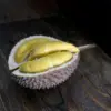 Rasanya yang manis, aroma yang khas, serta teksturnya yang lembut membuat banyak orang sulit berhenti menikma