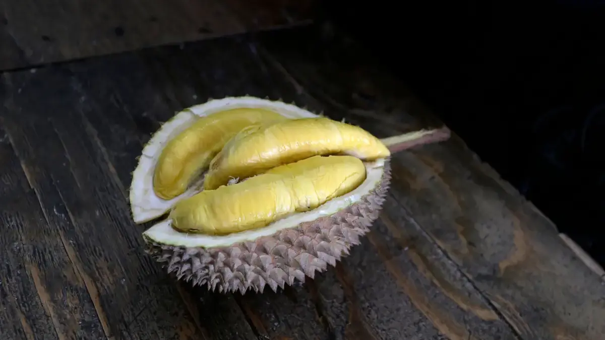 Mitos atau Fakta? Durian Ternyata Tidak Mengandung Kolesterol Rasanya yang manis, aroma yang khas, serta teksturnya yang lembut membuat banyak orang sulit berhenti menikma