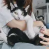 Dengan pendekatan yang tepat, hubungan antara pemilik dan kucing bisa menjadi lebih erat.