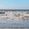 ilustrasi pantai