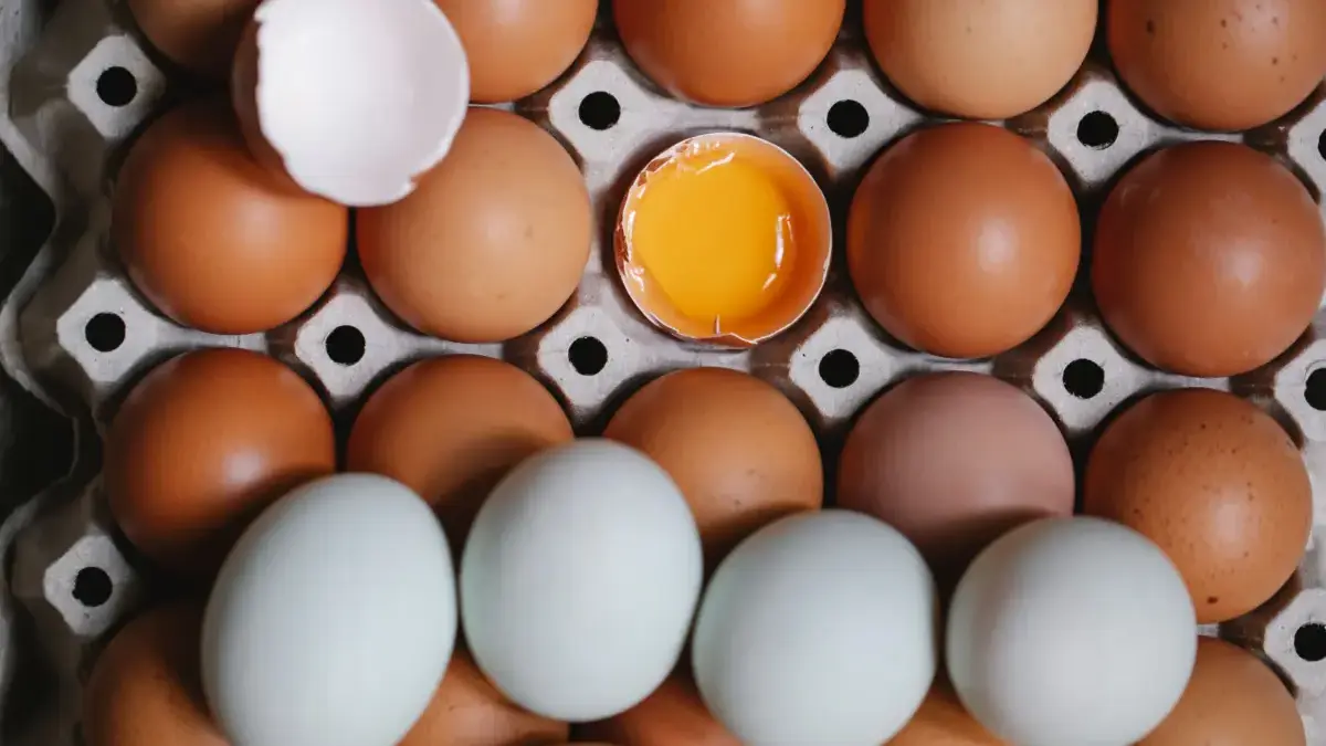 Telur merupakan salah satu sumber protein yang mudah ditemukan.
