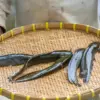 Ikan lele menjadi salah satu jenis ikan yang paling banyak dikonsumsi masyarakat Indonesia.