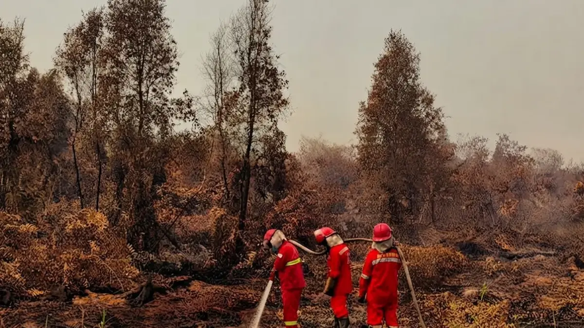 Kebakaran Hutan Kalimantan Diprediksi hingga Oktober, Asap Menyeberang ke Malaysia dan Penerbangan Terdampak foto