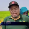H. Mulyadi, Dari Kepedulian Jadi Sukses Di Kedelai