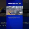Aksi Santai Pencuri Frozen Food Terekam CCTV