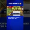 KWT Cirebon Unjuk Gaya Di Gebyar Pasar Tani