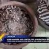 Desa Babakan Jadi Contoh, DLH Dorong Desa Mandiri Sampah
