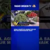 Awal Agustus Harga Sayur Mayur Merangkak Naik