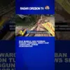 Dua Warga Jadi Korban Pohon Tumbang, BBWS Siap Tanggung Jawab Pengobatan